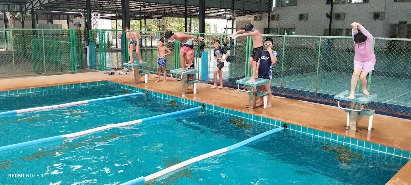 Piscine et plongeoir EFIP